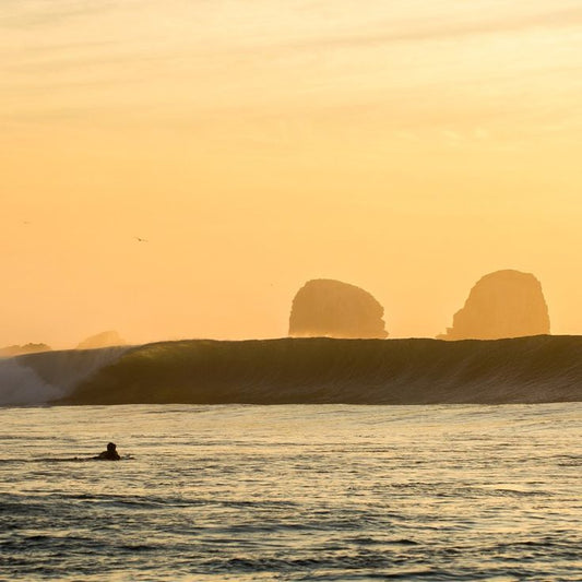 PUNTA DE LOBOS